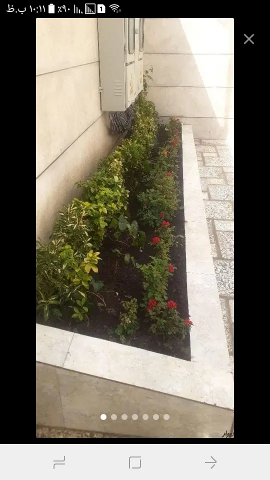 باغبانی و سمپاشی زدن علف های هرز گل درختکاری|خدمات باغبانی و درختکاری|مشهد, هنرستان|دیوار