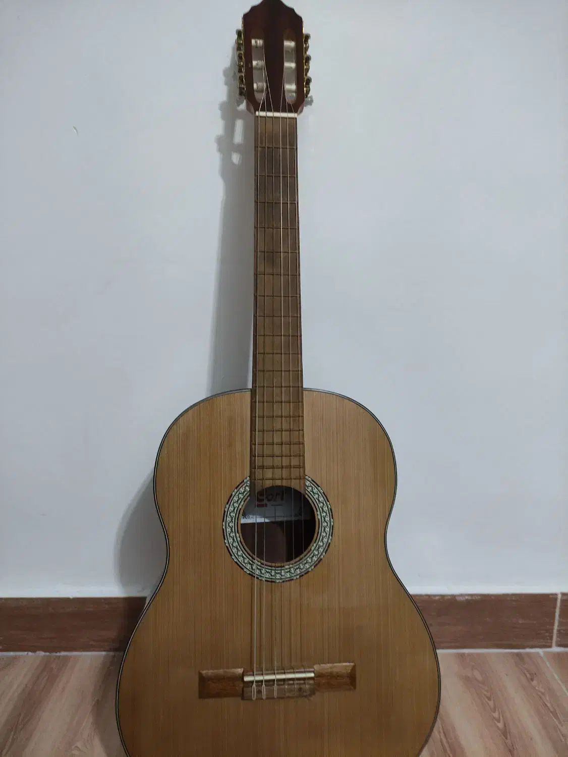 گیتار|گیتار، بیس، امپلیفایر|تولم شهر, |دیوار