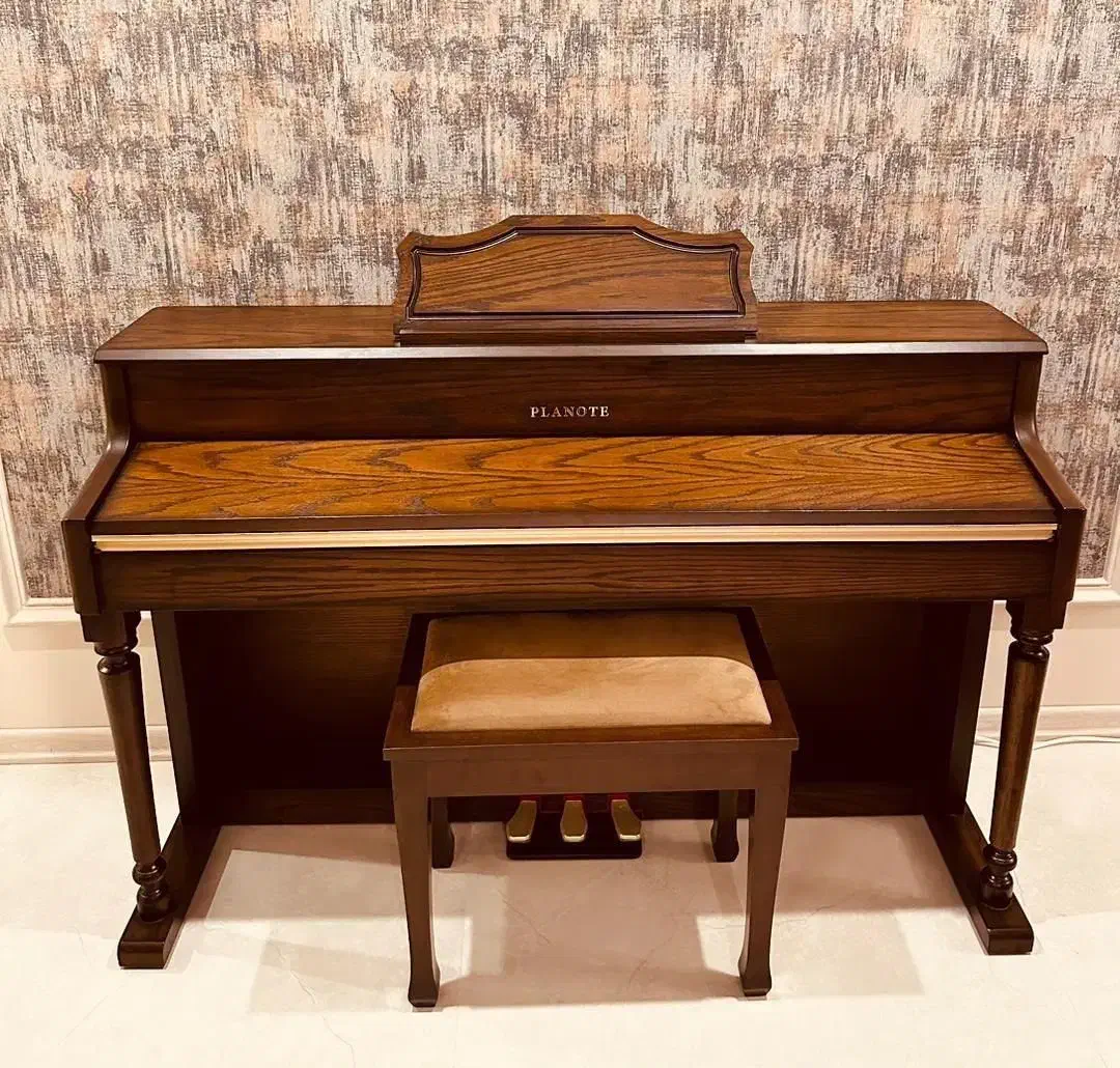 سازهای دیجیتالی پیانو|پیانو، کیبورد، آکاردئون|بجنورد, |دیوار