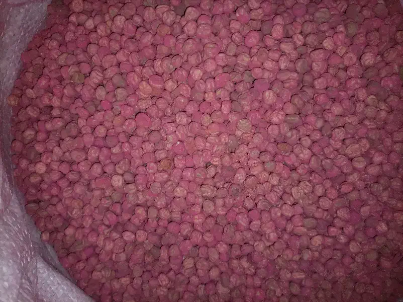 بذر نخود فرنگی پفکی|گل و گیاه طبیعی|مینودشت, |دیوار