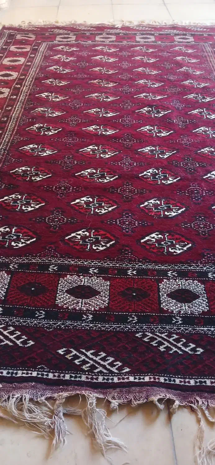 فروش فرش دستباف|فرش|گنبد کاووس, |دیوار