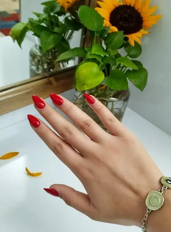 ناخن|خدمات آرایشگری و زیبایی|شیراز, نصر|دیوار