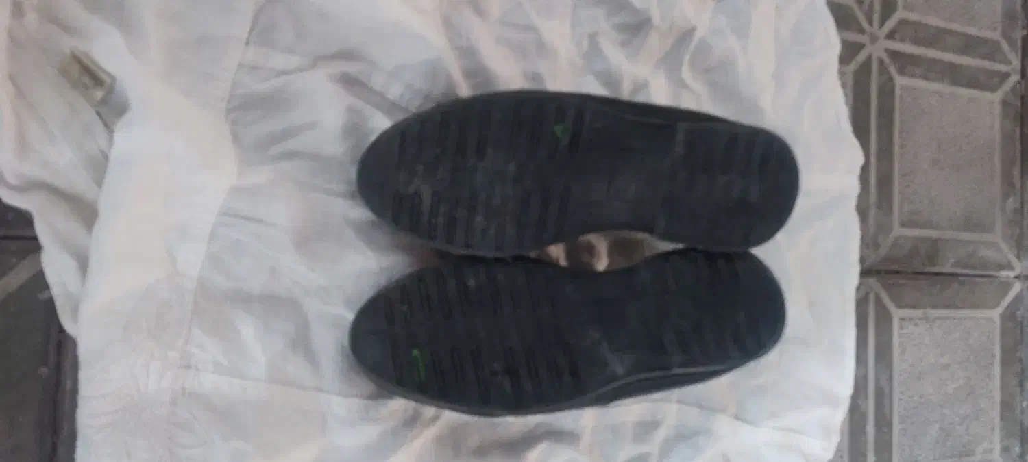 کفش مجلسی شیک و سالم سالم سایز 36 قیمت خیلی مناسب|کیف، کفش، کمربند|سبزوار, پاسداران|دیوار