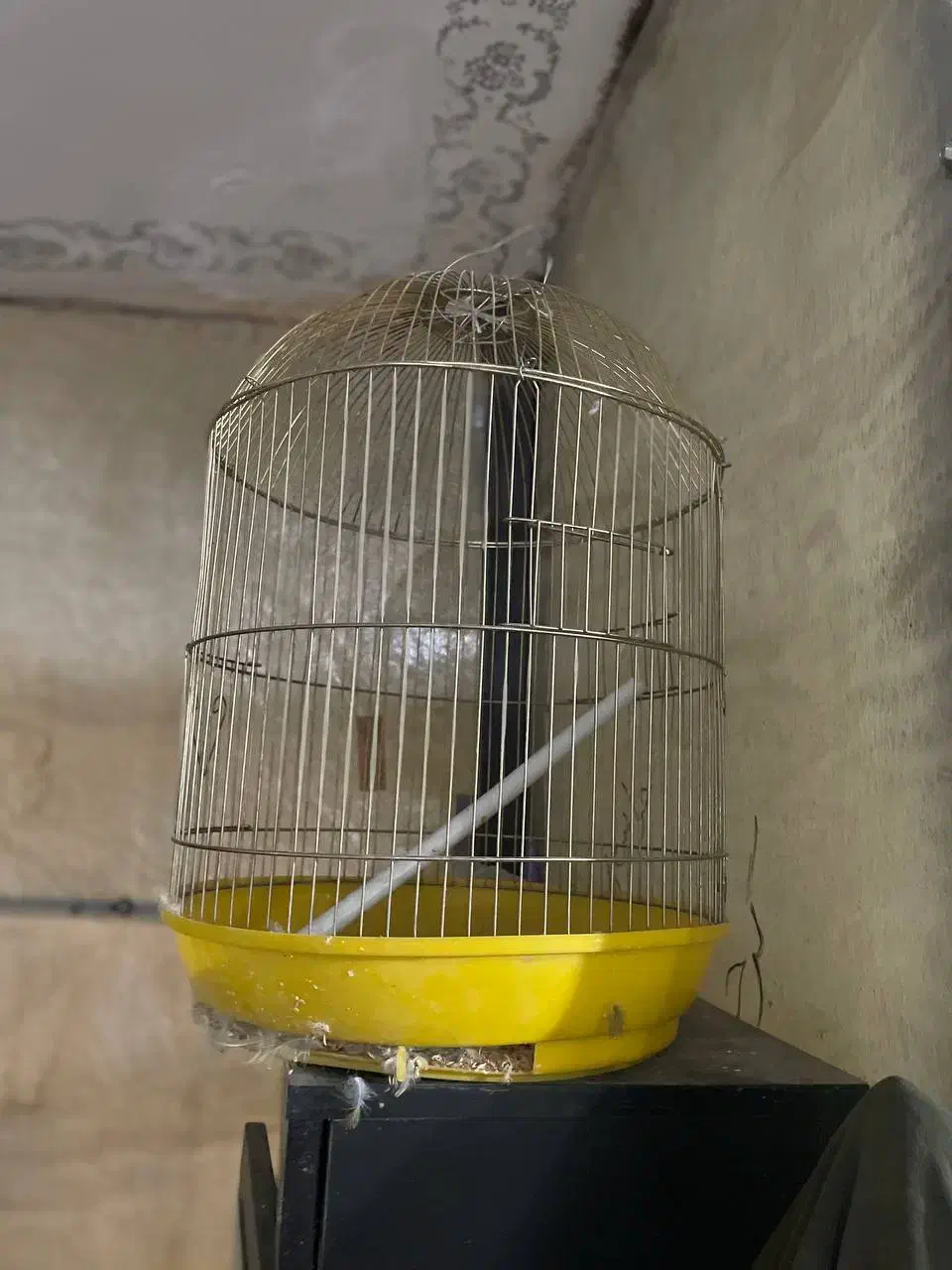 قفس گرد رنگ طلایی|لوازم جانبی حیوانات|هشتگرد, تهران دشت|دیوار