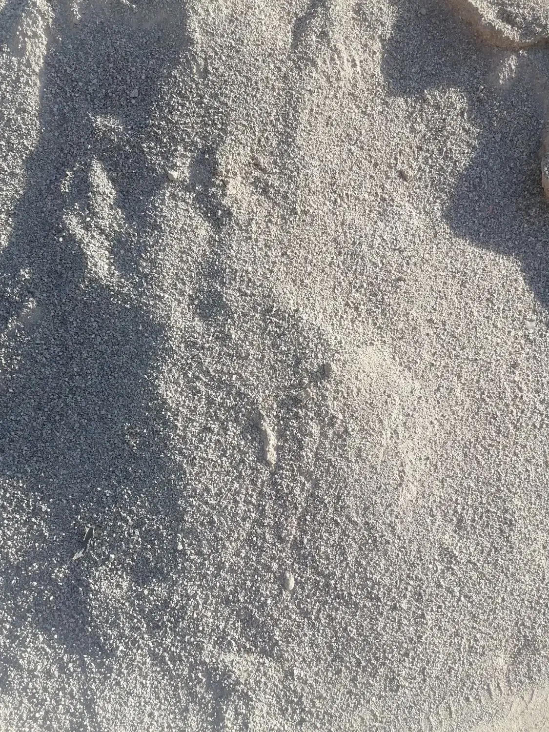 سلام فروش ماسه|مصالح و تجهیزات ساختمان|فسا, |دیوار