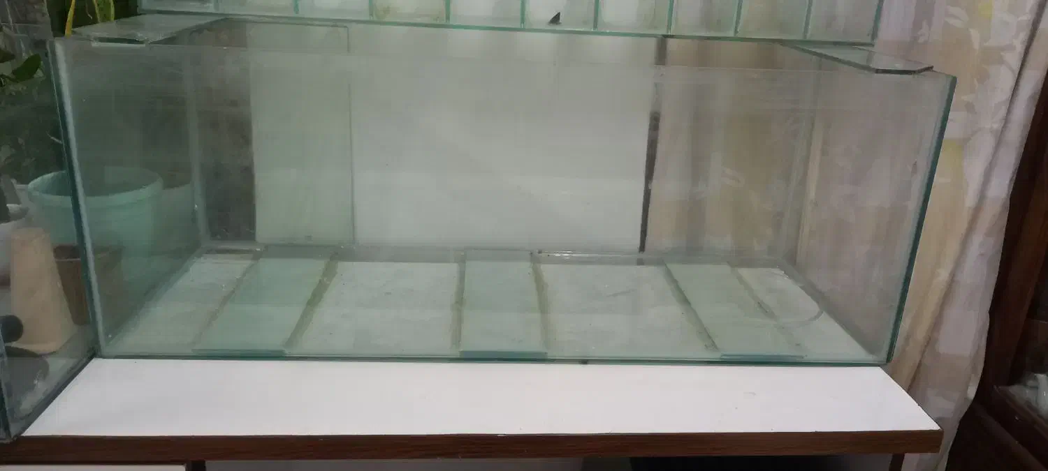 آکواریوم|ماهی|رشت, نخودچر|دیوار