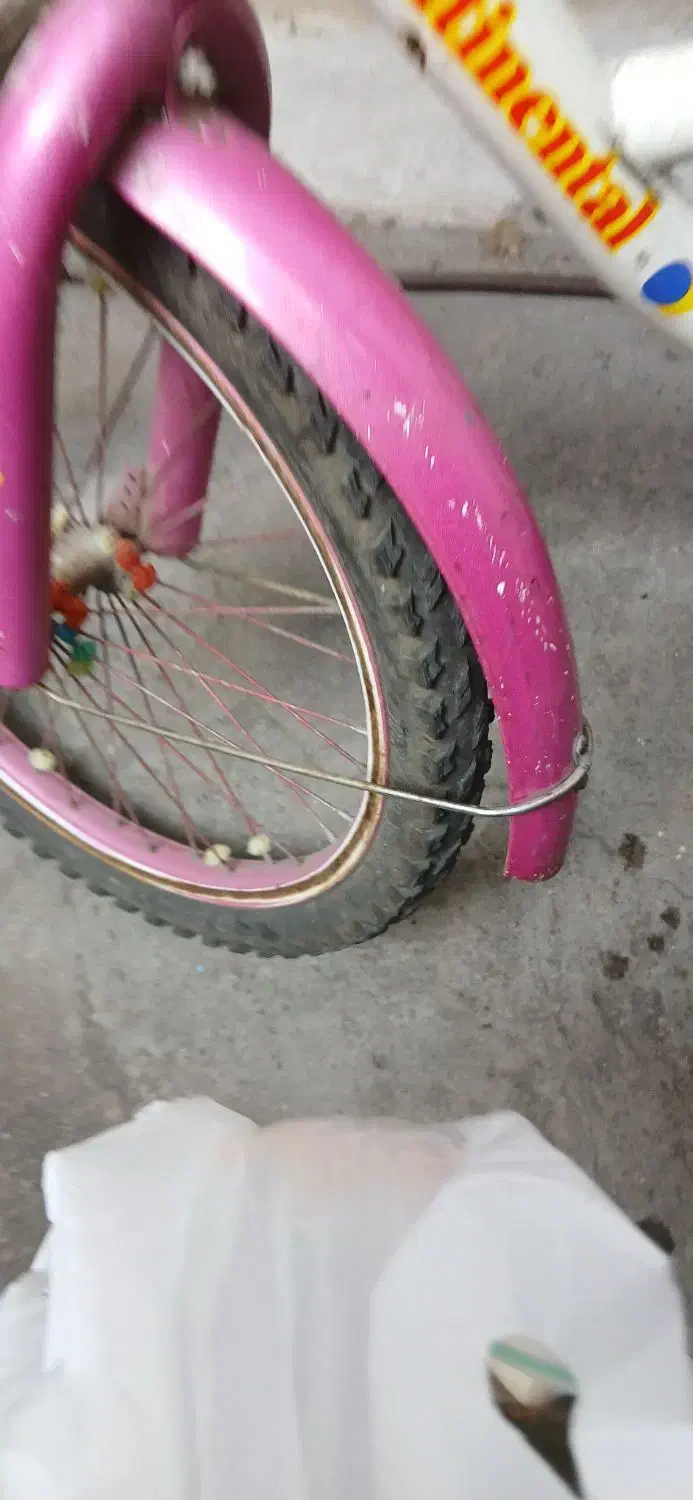 دوچرخه|دوچرخه، اسکیت، اسکوتر|رشت, دیانتی|دیوار