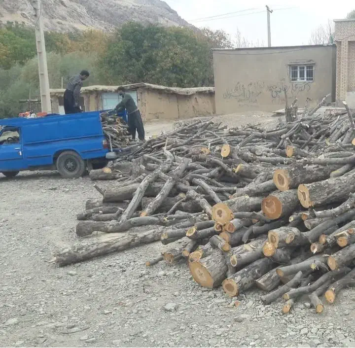 خریدار انواع چوب|خدمات باغبانی و درختکاری|کامیاران, |دیوار