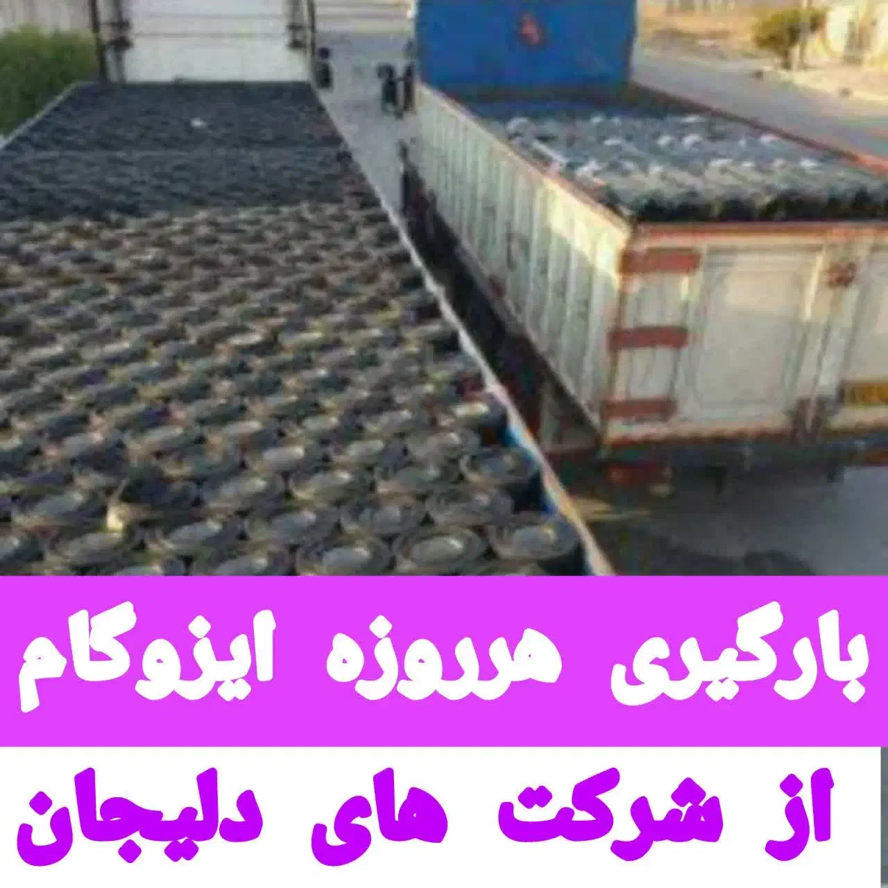ایزوگام دلیجان/قیر100%خالص|خدمات پیشه و مهارت|کاشان, باغچه فیض|دیوار
