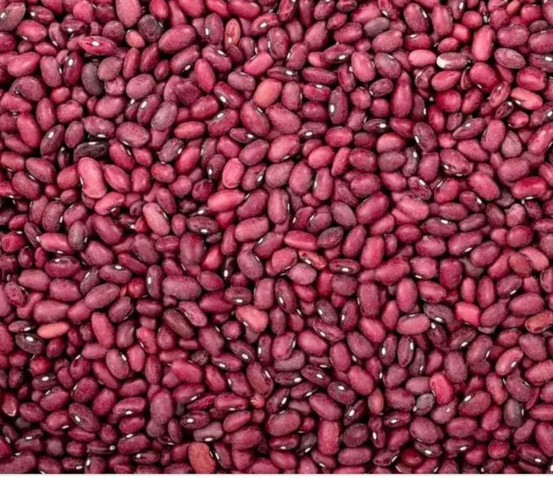 لوبیا قرمز بوجاری شده|خوردنی و آشامیدنی|ارسنجان, |دیوار