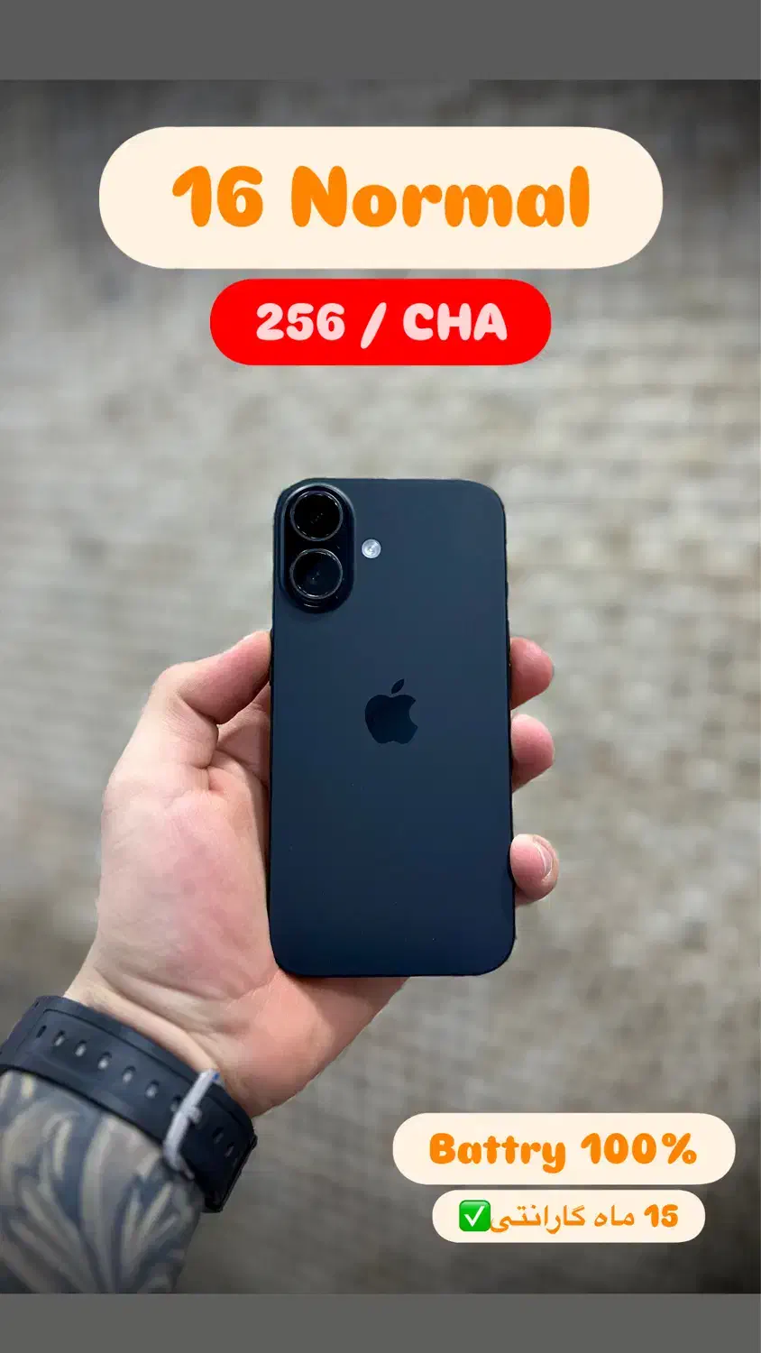 16 normal 256 GB CHA|موبایل|قم, عمار یاسر|دیوار
