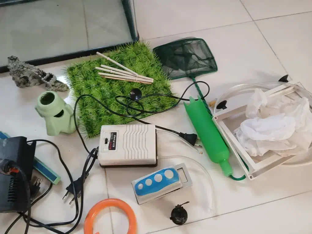 آکواریوم|ماهی|کرج, کلاک نو|دیوار