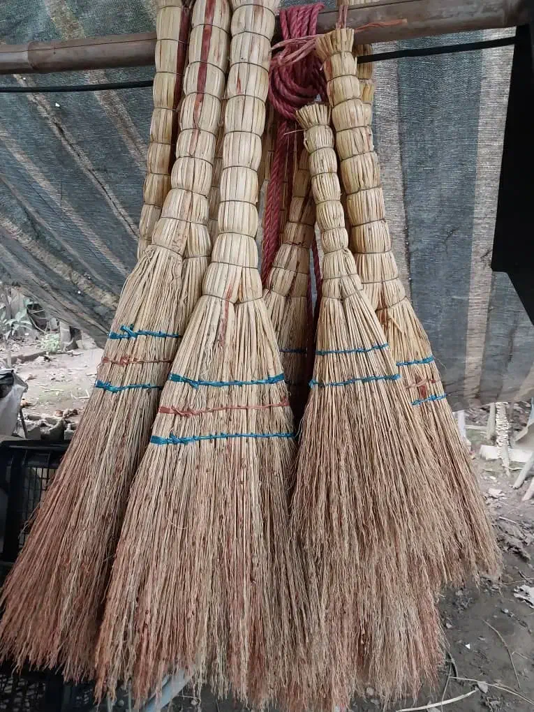 فروش محصولات خانگی|گل و گیاه طبیعی|لاهیجان, لاشیدان|دیوار