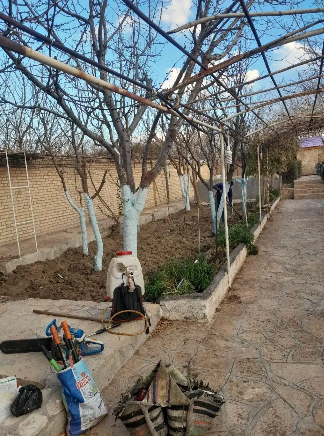 گیاه پزشک باغبانی و هرس و کاشت درخت گیاهان تزئینی|خدمات باغبانی و درختکاری|مشهد, سجاد شهر|دیوار