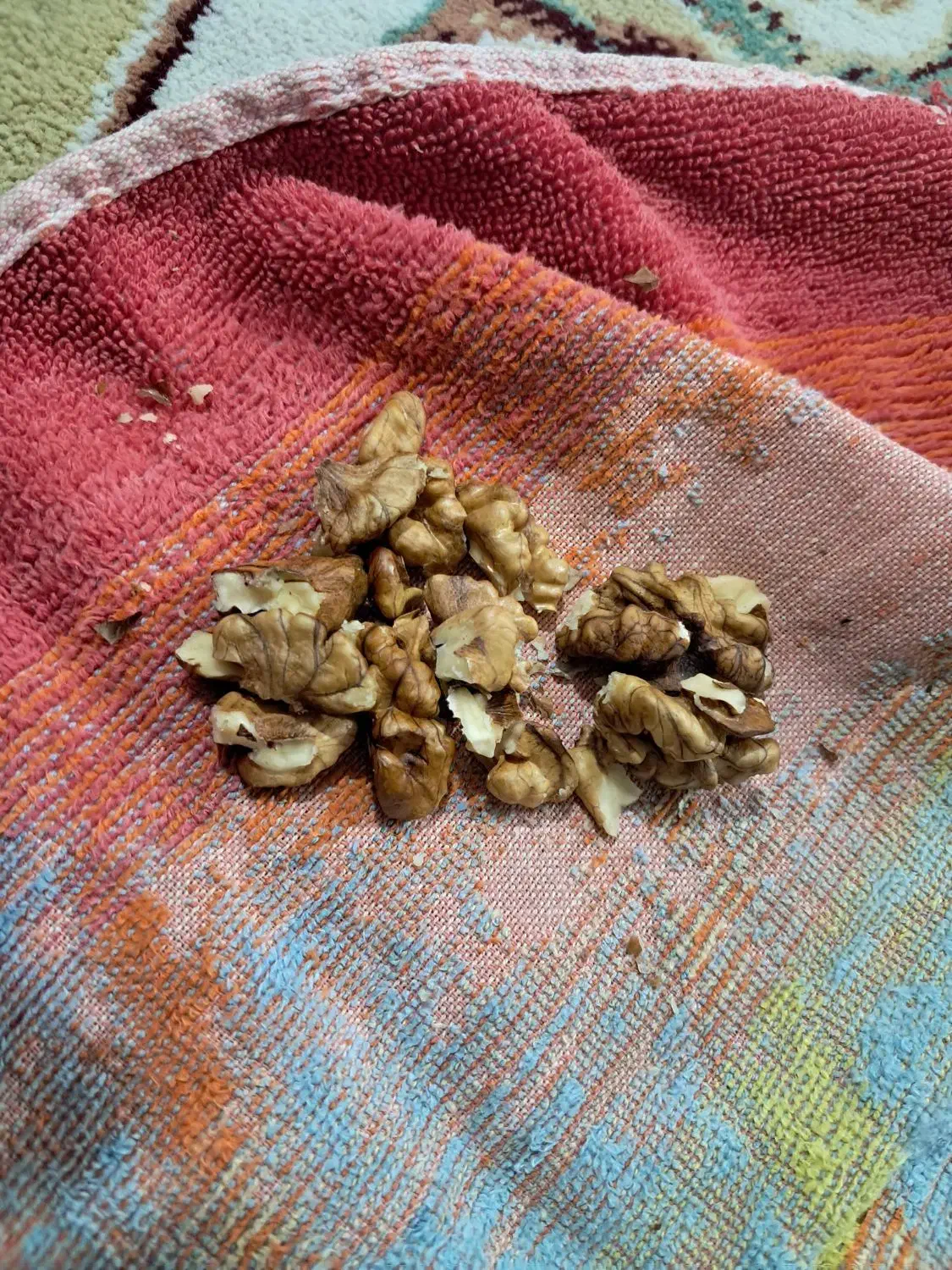 گردوی زرقان|حراج|سبزوار, هویزه|دیوار