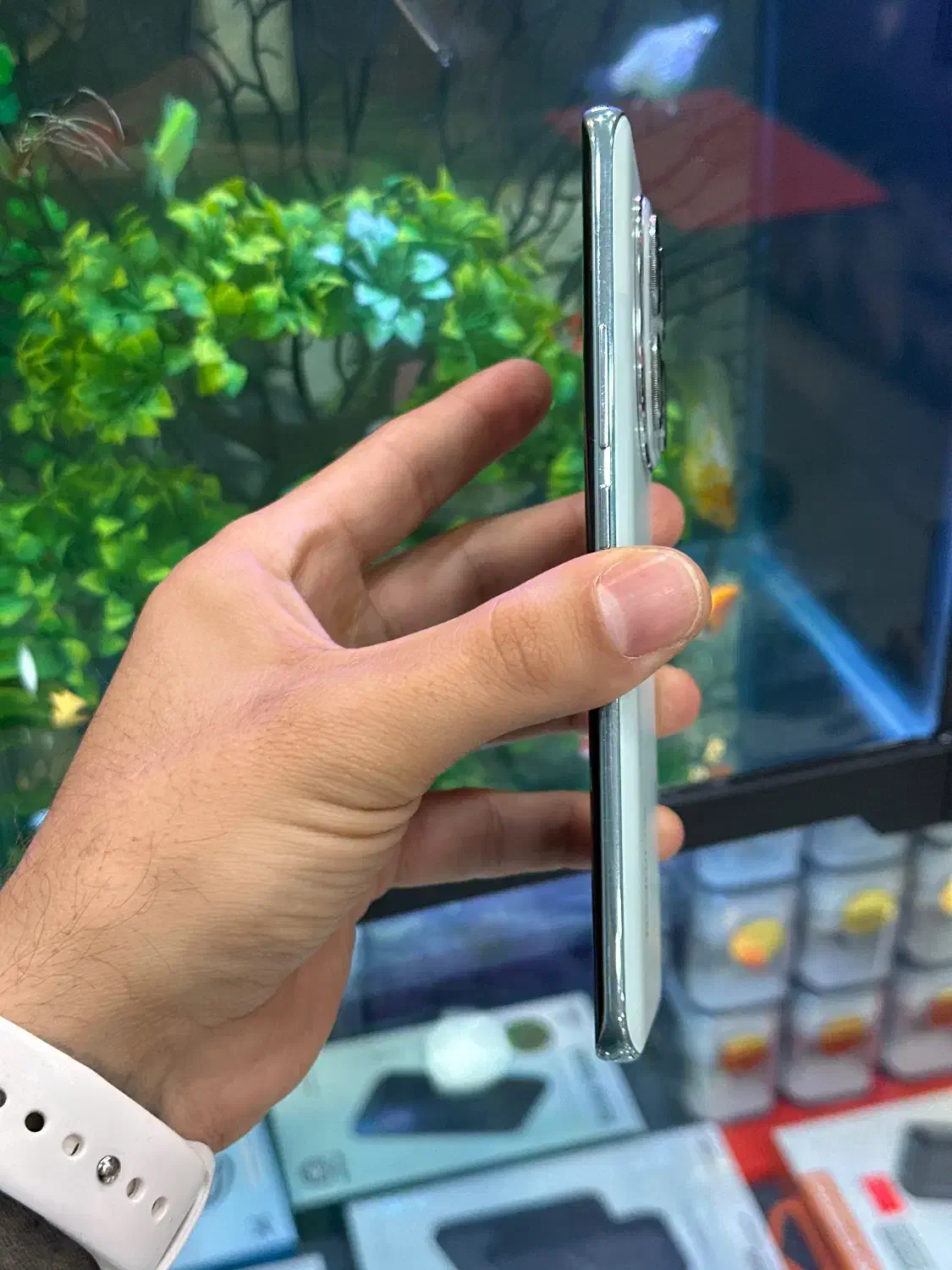 note14pro 512ram12 5g|موبایل|شیراز, زند|دیوار