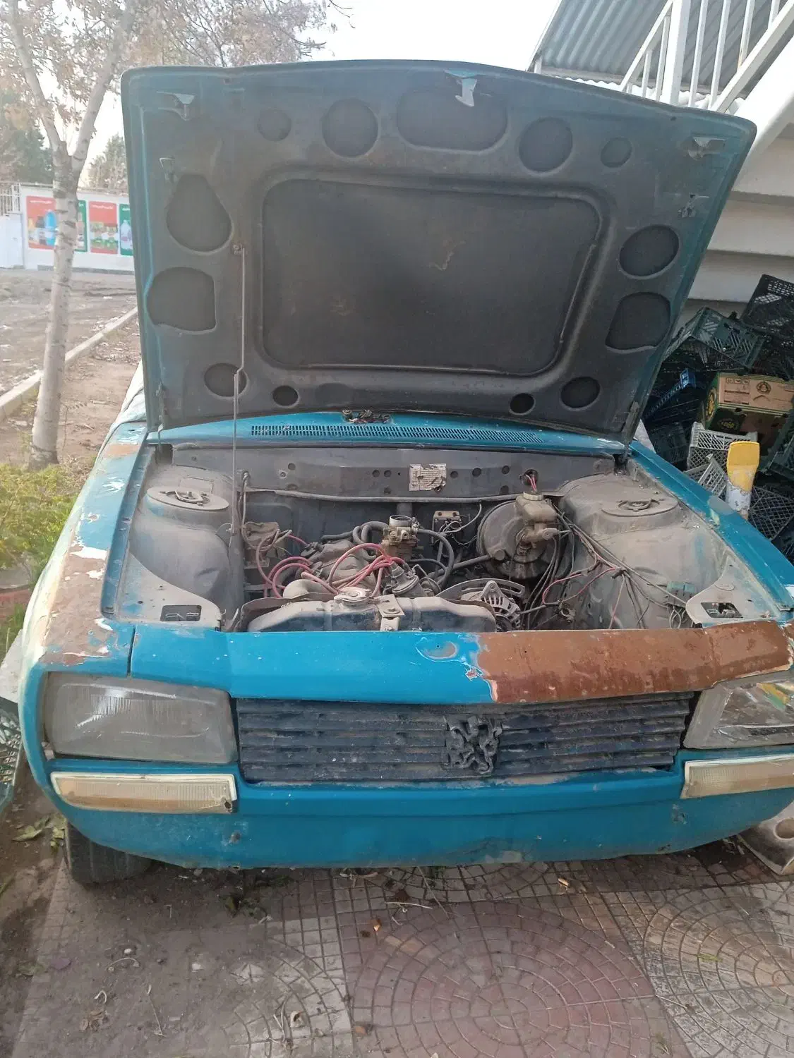 پژو 504|خودرو کلاسیک|محمدیه-قزوین, |دیوار