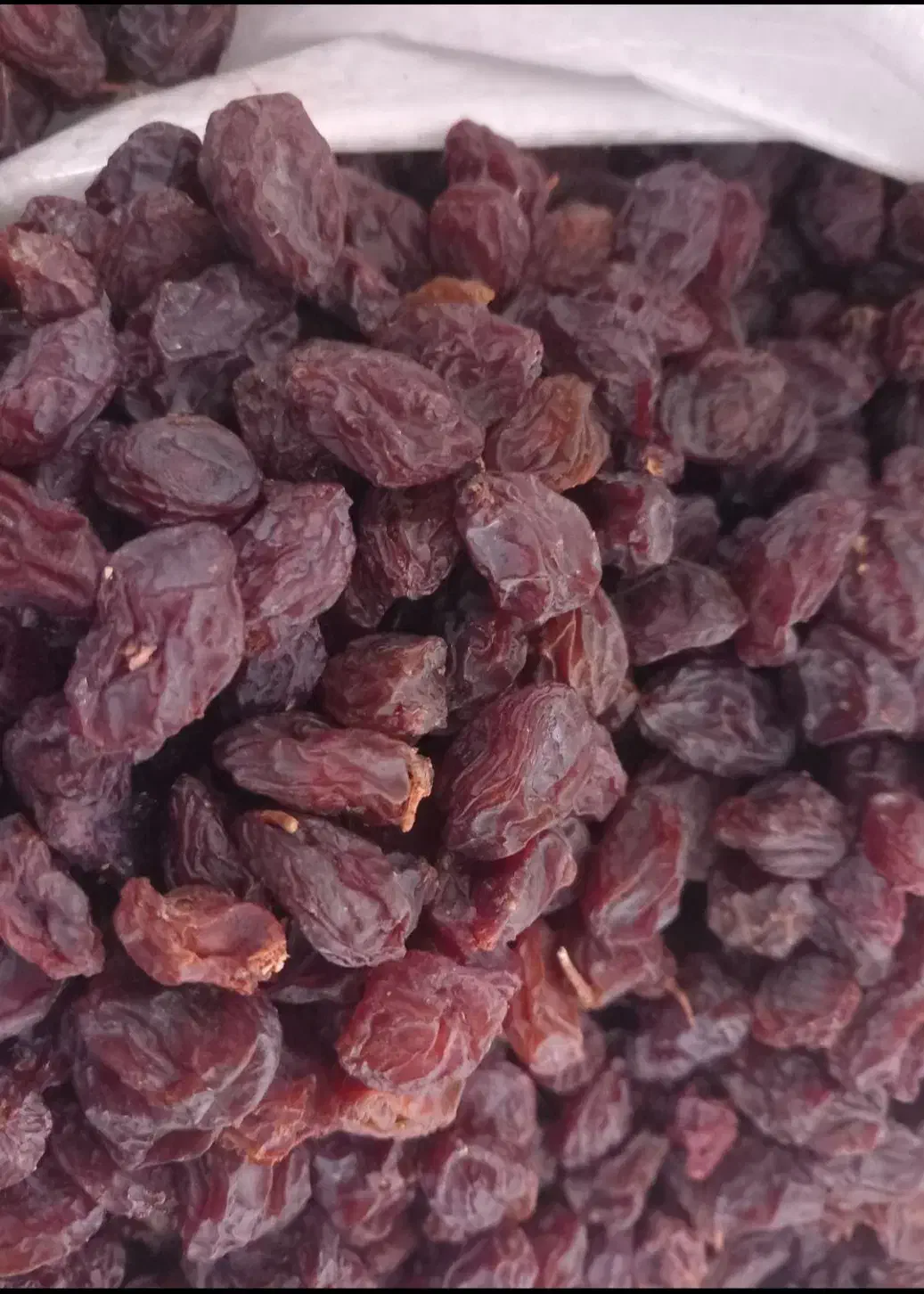مویز فخری|خوردنی و آشامیدنی|قم, آزادگان|دیوار