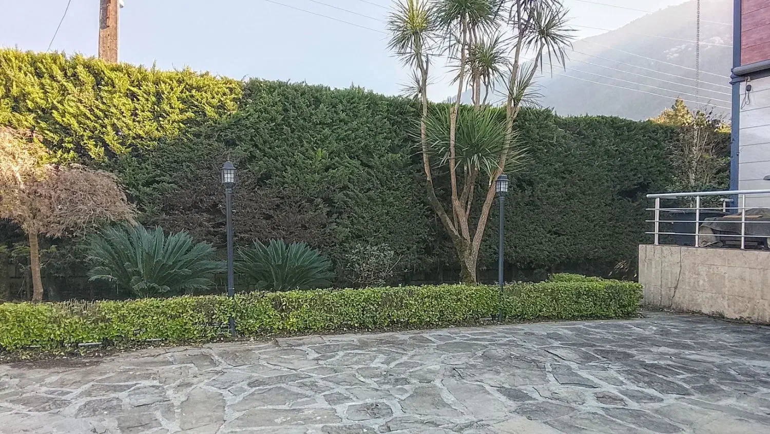 باغبانی و کارواش حیاط و سقف ویلا|خدمات باغبانی و درختکاری|سلمانشهر, |دیوار