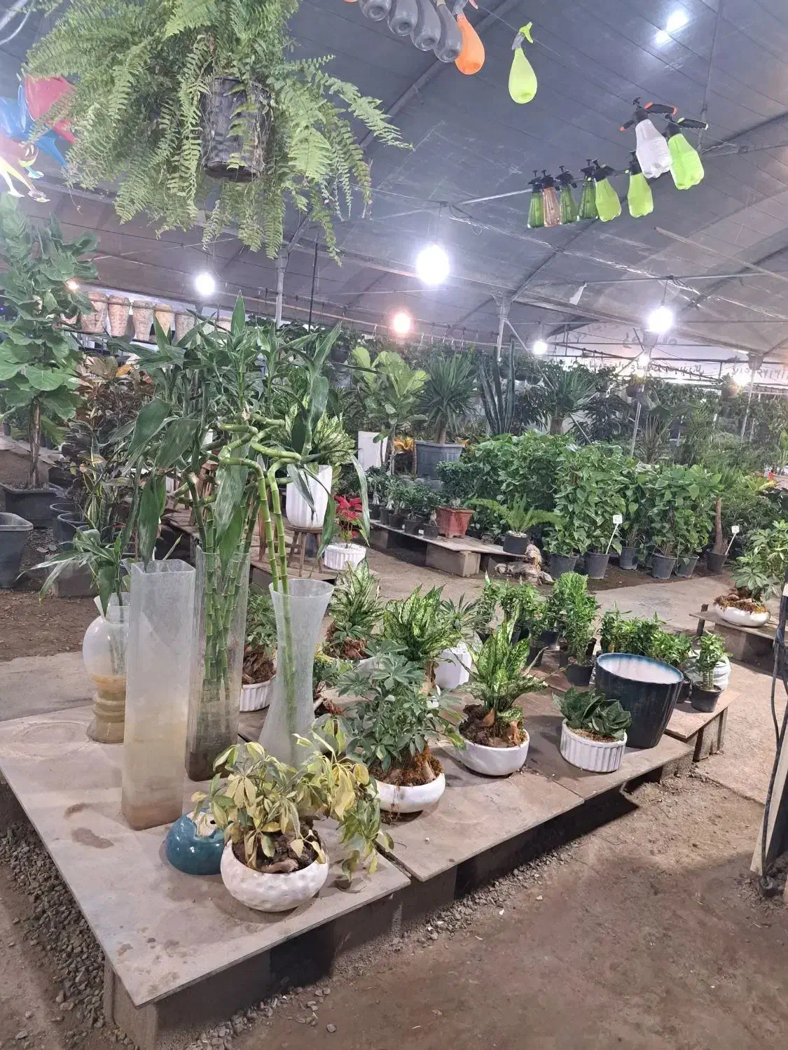 کارگر برای کار گلخانه|استخدام صنعتی، فنی، مهندسی|یزد, |دیوار