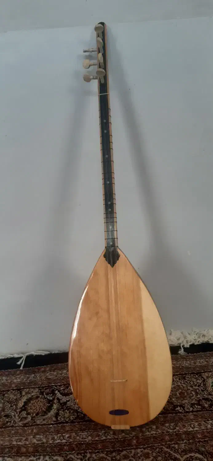 ساز باغلاما ترکی|سازهای سنتی|خوی, |دیوار