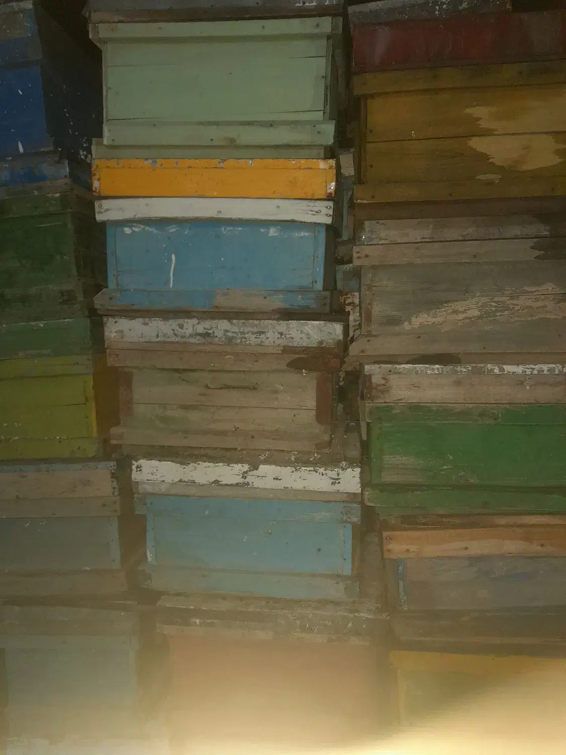 کندو زنبور عسل ۵۰۰ عددو۳۰۰ طبق|لوازم جانبی حیوانات|لاران, |دیوار