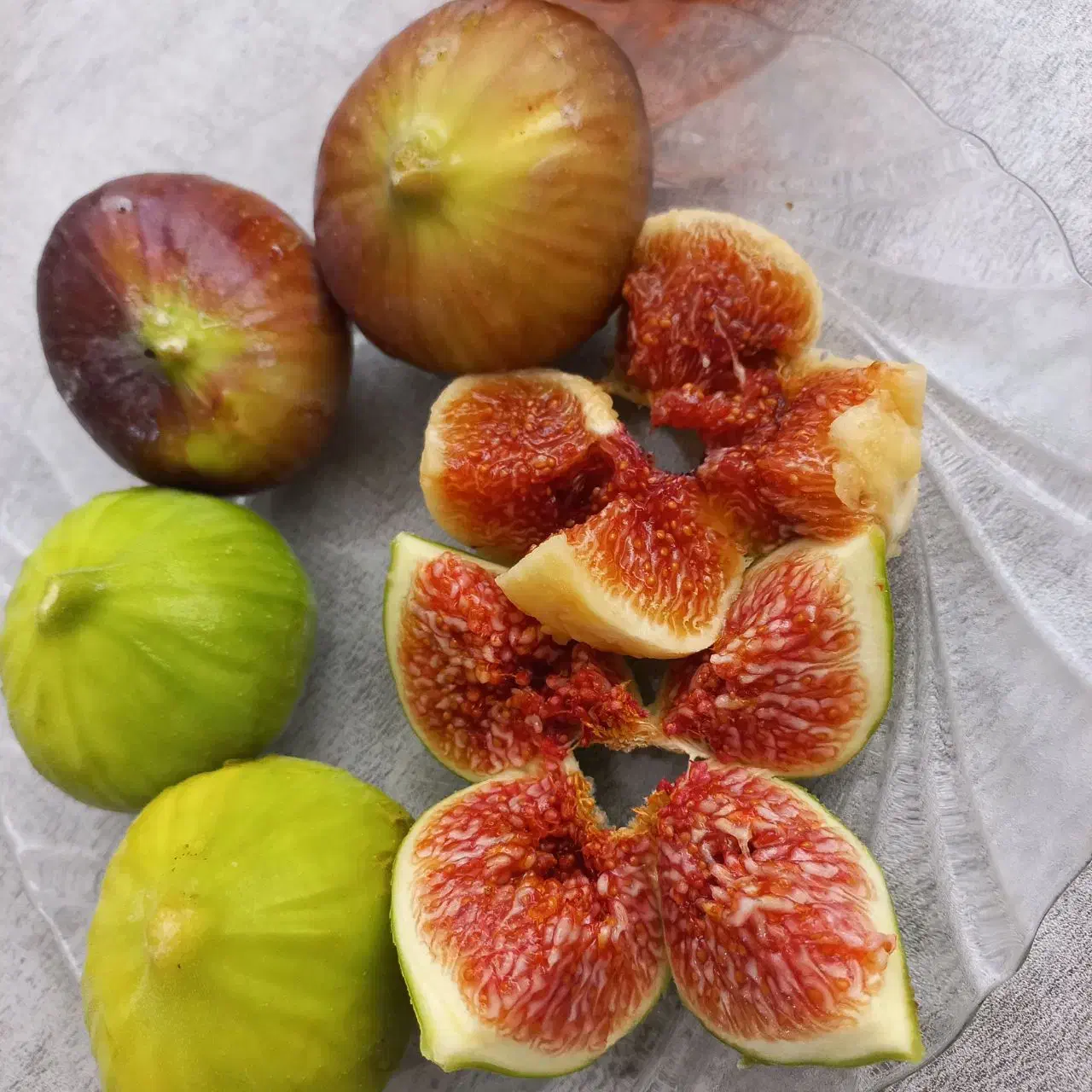 انجیر تازه رسید. تحویل فوری|خوردنی و آشامیدنی|قم, باجک دو|دیوار