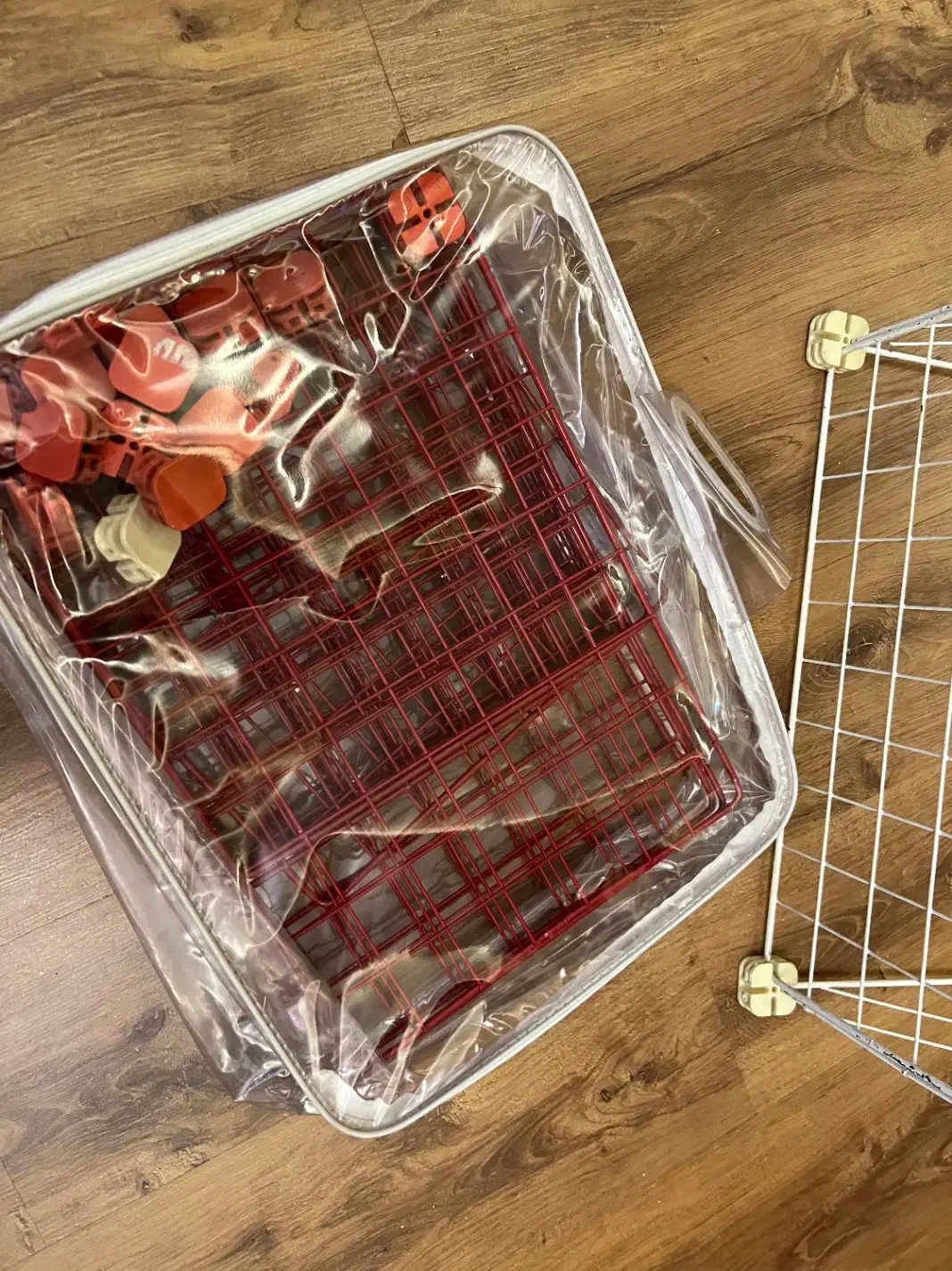 قفسه مشبک نو|کتابخانه، شلف، قفسه‌های دیواری|مشهد, شهید رضوی|دیوار