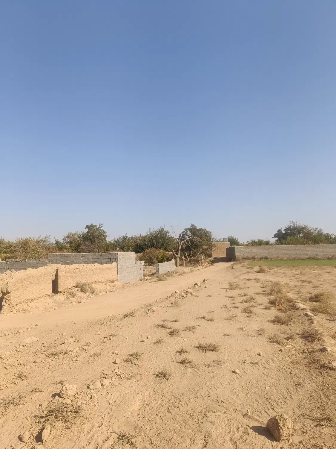 600مترزمین کشاورزی قصبه سند دار دارای راه ماشین رو|فروش زمین و ملک کلنگی|گناباد, |دیوار