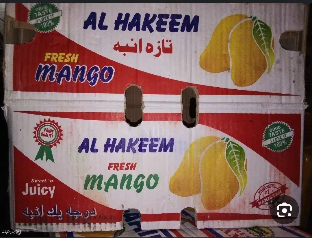 کارتن انبه ی|ظروف نگهدارنده، پلاستیکی، یک‌بارمصرف|شیراز, پودنک|دیوار