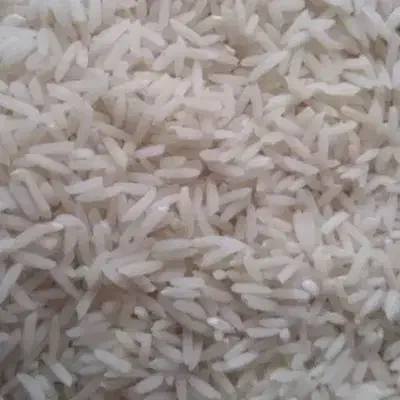 برنج طارم شیروان|عمده‌فروشی|ایلام, |دیوار