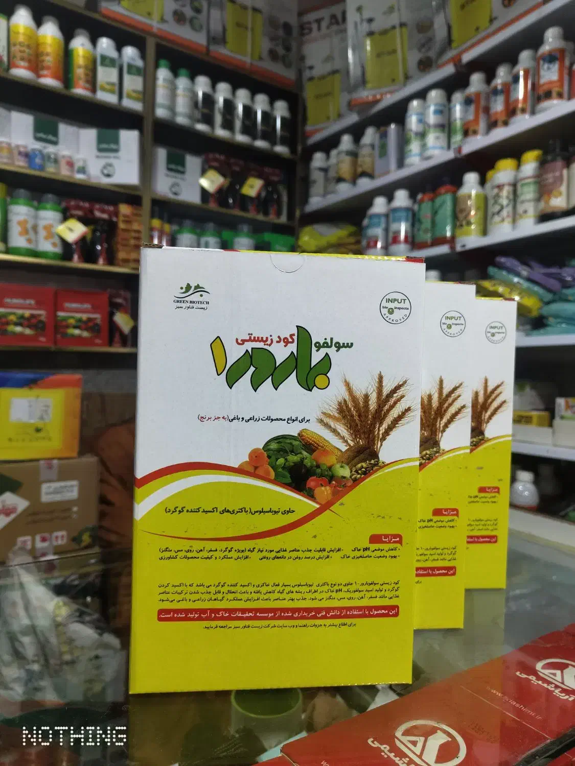 باکتری تیوباسیلوس|خدمات باغبانی و درختکاری|خرم‌آباد, |دیوار