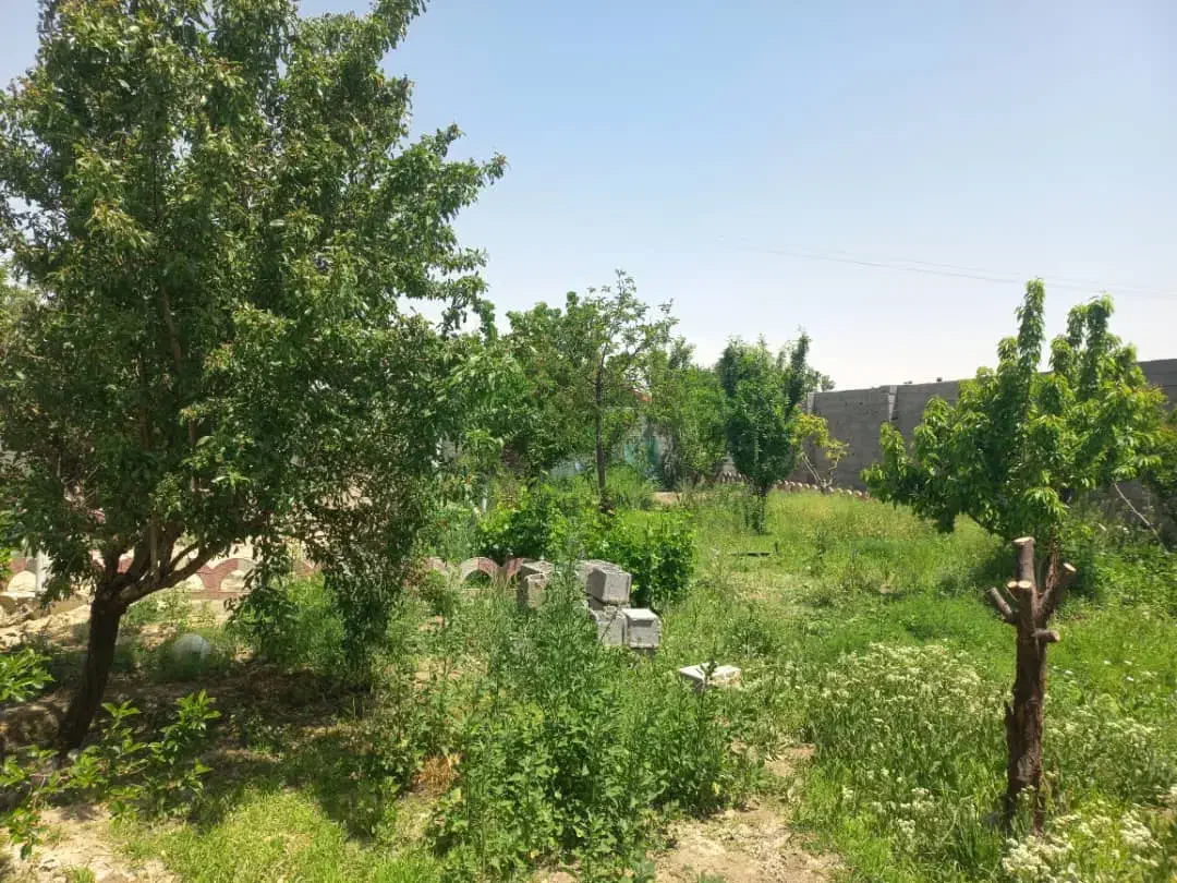 باغ نزدیک شهر|فروش زمین و ملک کلنگی|اصفهان, قهجاورستان|دیوار