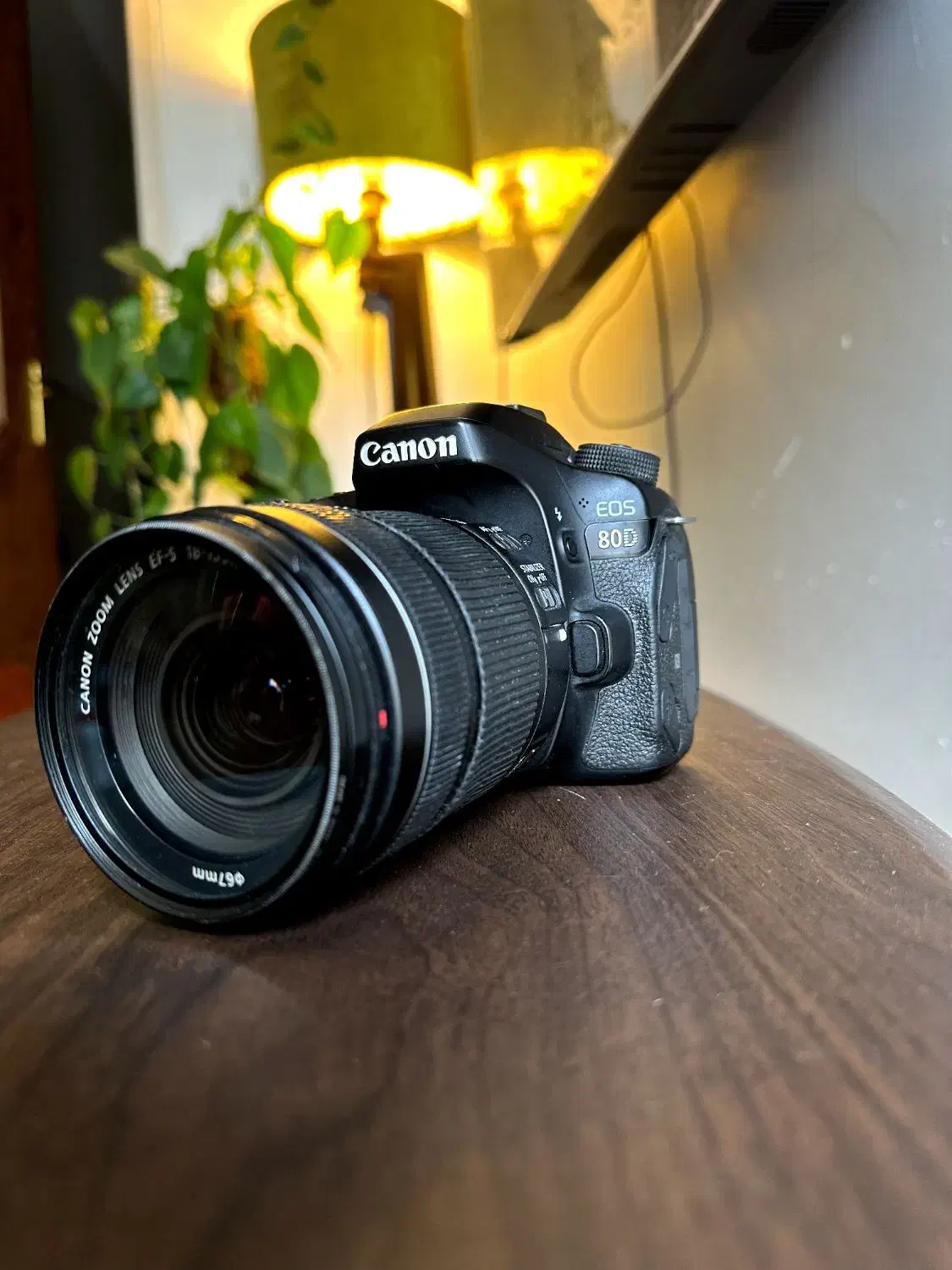 دوربین cannon 80d با لنز 135|دوربین عکاسی و فیلم‌برداری|قم, باجک دو|دیوار