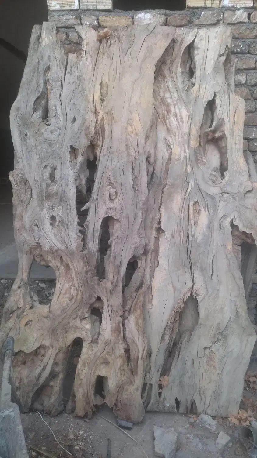 فروش چوب|مصالح و تجهیزات ساختمان|تویسرکان, |دیوار