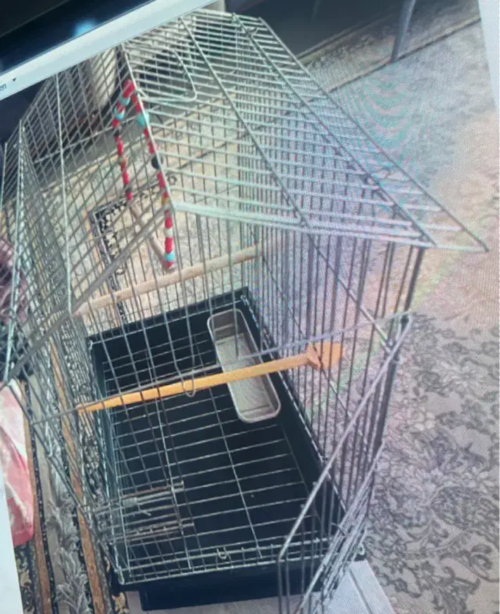 قفس بزرگ|لوازم جانبی حیوانات|مشهد, محمدآباد|دیوار
