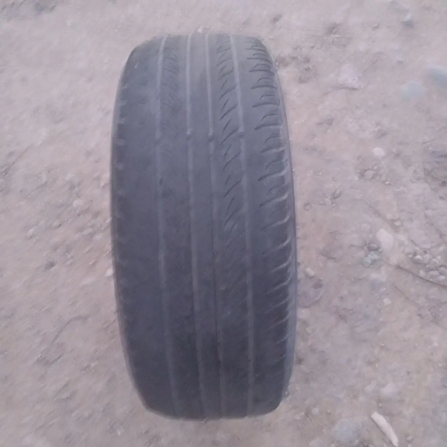 یک حلقه لاستیک پهن ۲۰۶ فروشی|قطعات یدکی و لوازم جانبی|صومعه‌سرا, |دیوار