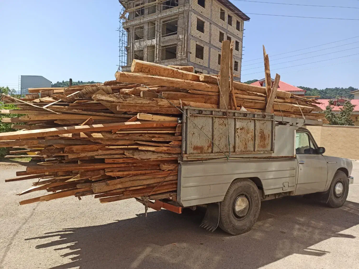 چوب وهیزم ساختمانی زغالی|خدمات باغبانی و درختکاری|لنگرود, |دیوار