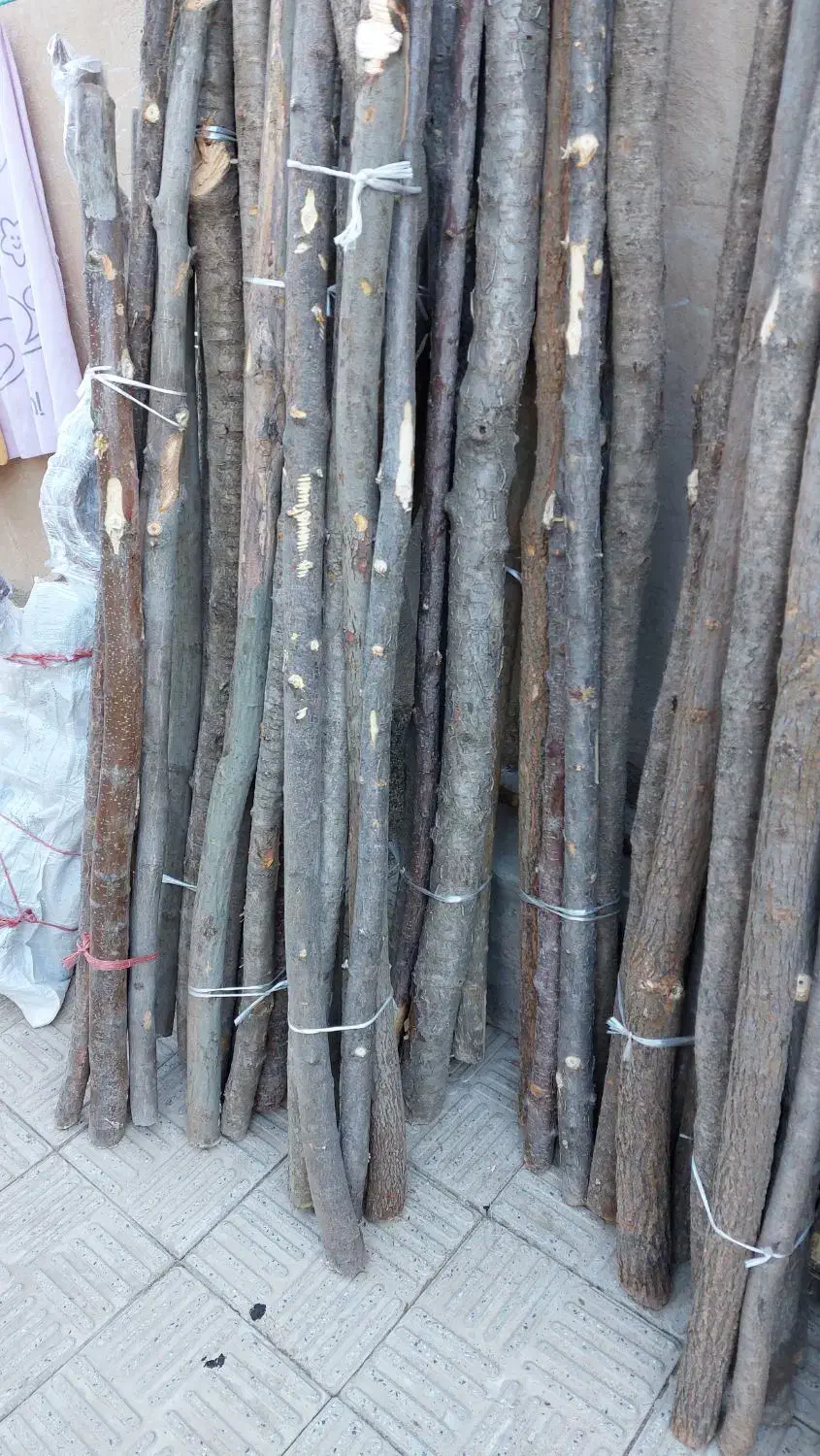 چوب|عمدهفروشی|تهران, تسلیحات|دیوار