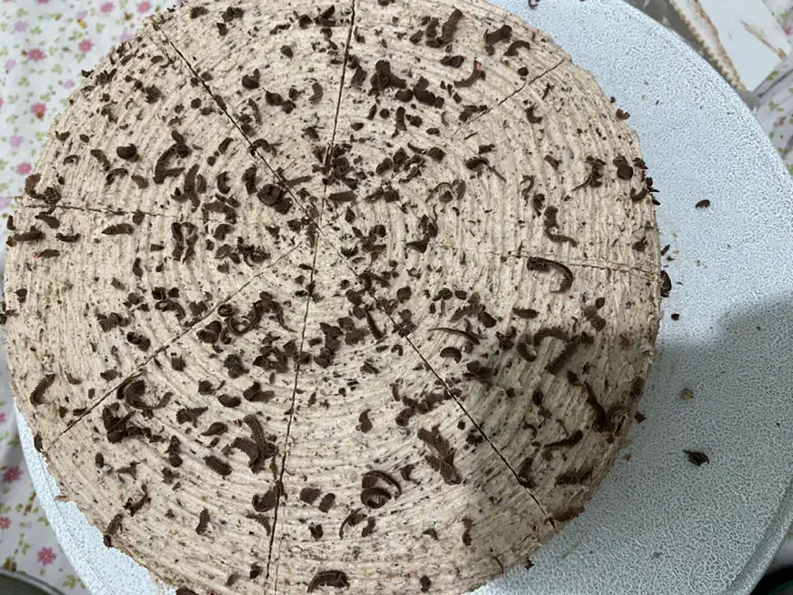 کیک خونگی|خوردنی و آشامیدنی|مشهد, نوید|دیوار