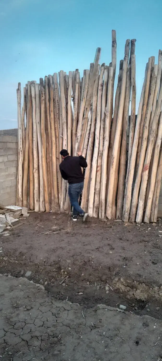 چوپ سالم|خدمات باغبانی و درختکاری|فیروزآباد (آذربایجان), |دیوار