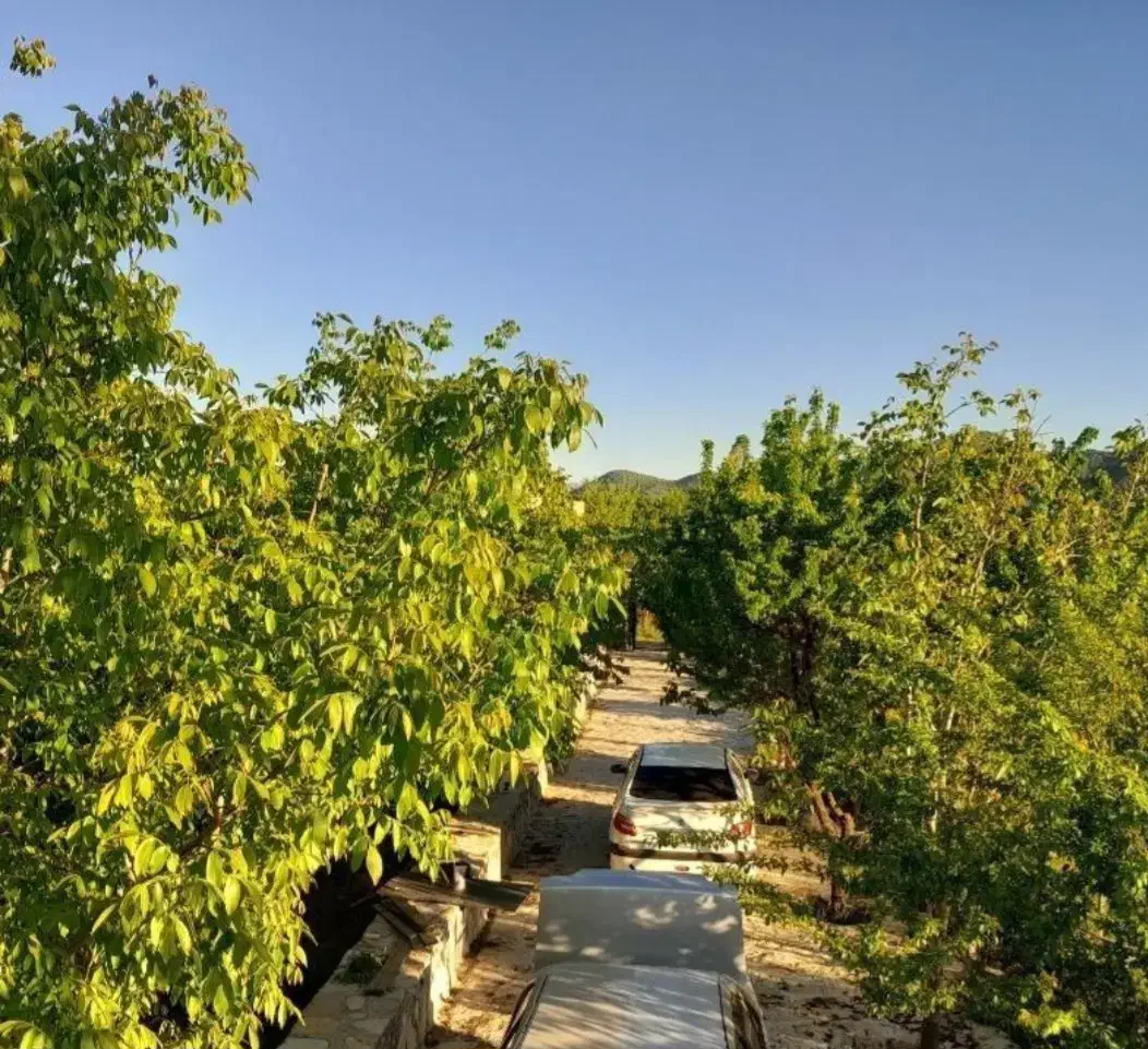 فروش و معاوضه خانه باغ دور زریبار (باقی هم میدم)|فروش خانه و ویلا|مریوان, |دیوار