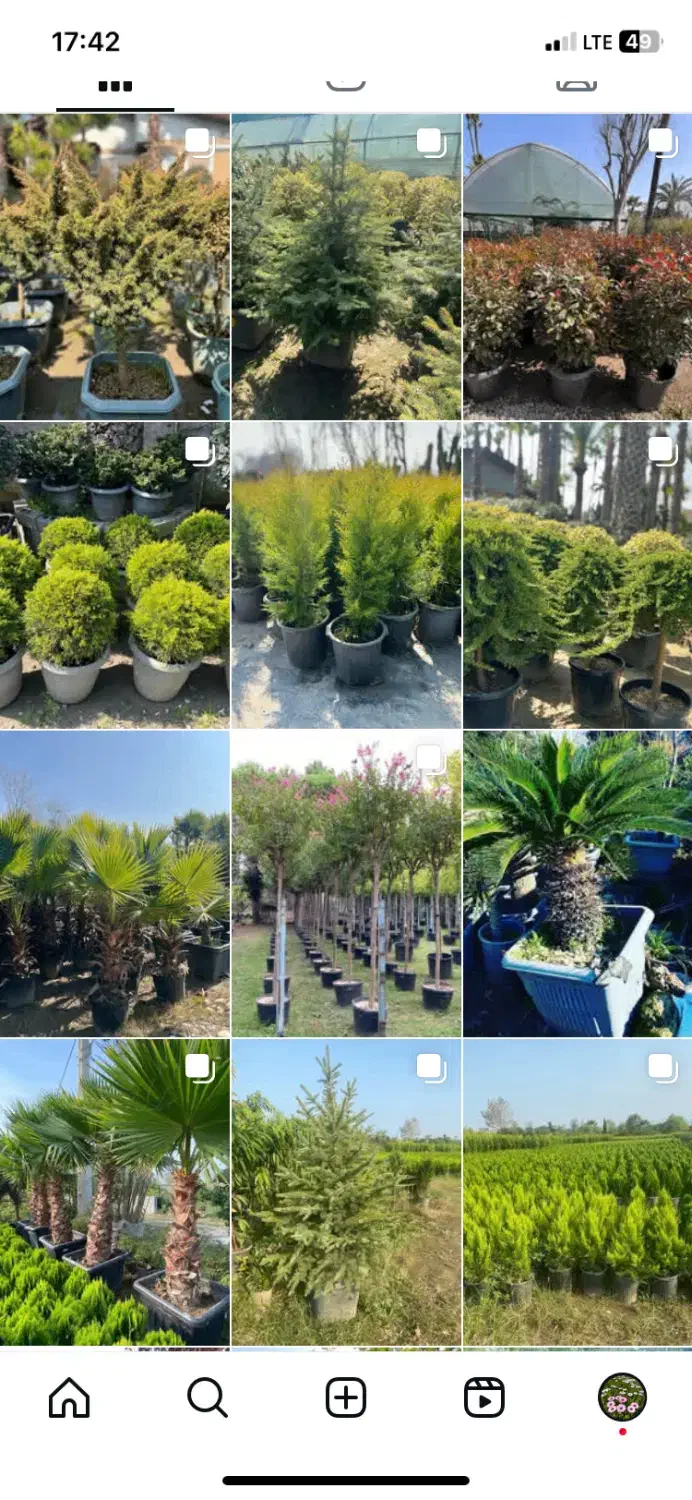 طراحی و اجرای فضای سبز ( انواع درختان تزئینی )|خدمات باغبانی و درختکاری|تهران, پاسداران|دیوار