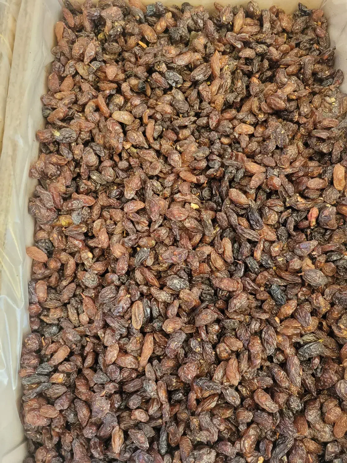 کشمش افتابی محمدکاشمری|عمده‌فروشی|تهران, کرمان|دیوار