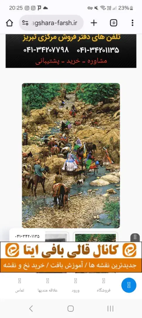 تابلو فرش پرنیا|تابلو فرش|قزوین, |دیوار