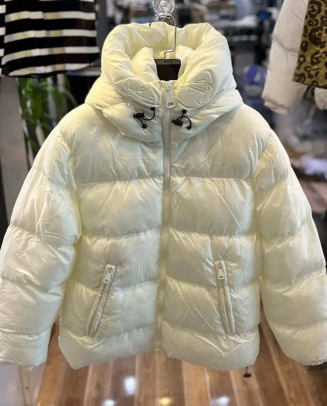 کاپشن|لباس|باوی, |دیوار