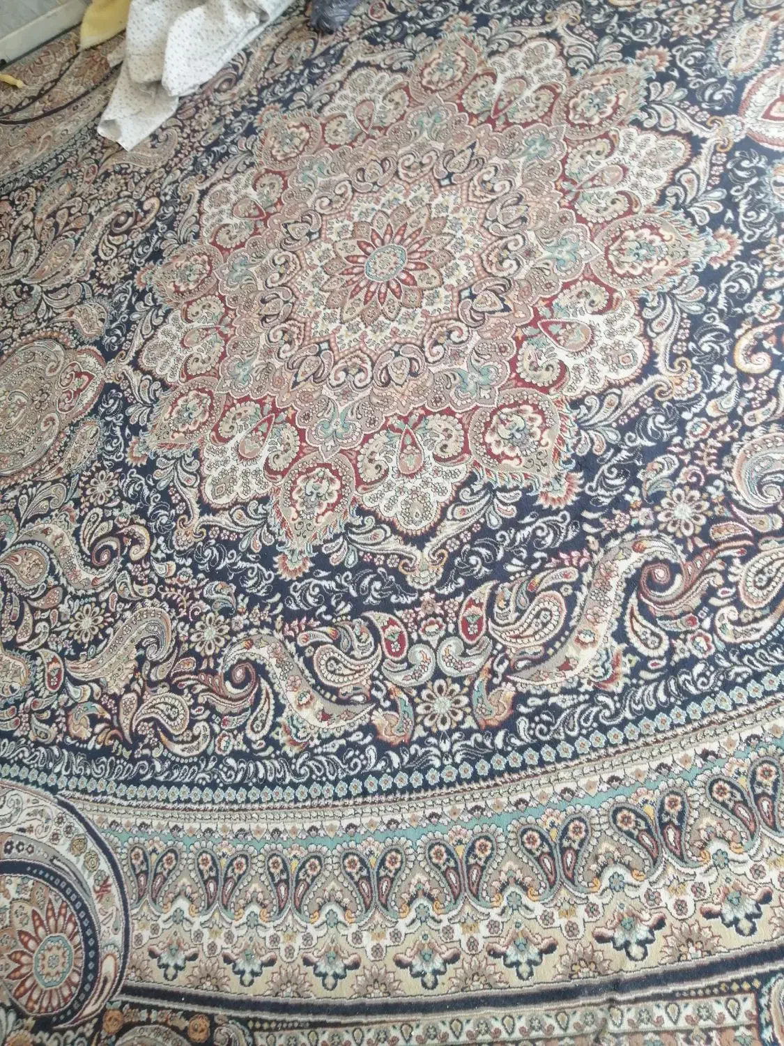 قالی 12متری|فرش|شیروان (خراسان), |دیوار