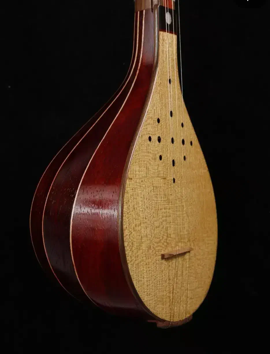 سه تار رزوود|سازهای سنتی|تهران, سازمان برنامه جنوبی|دیوار