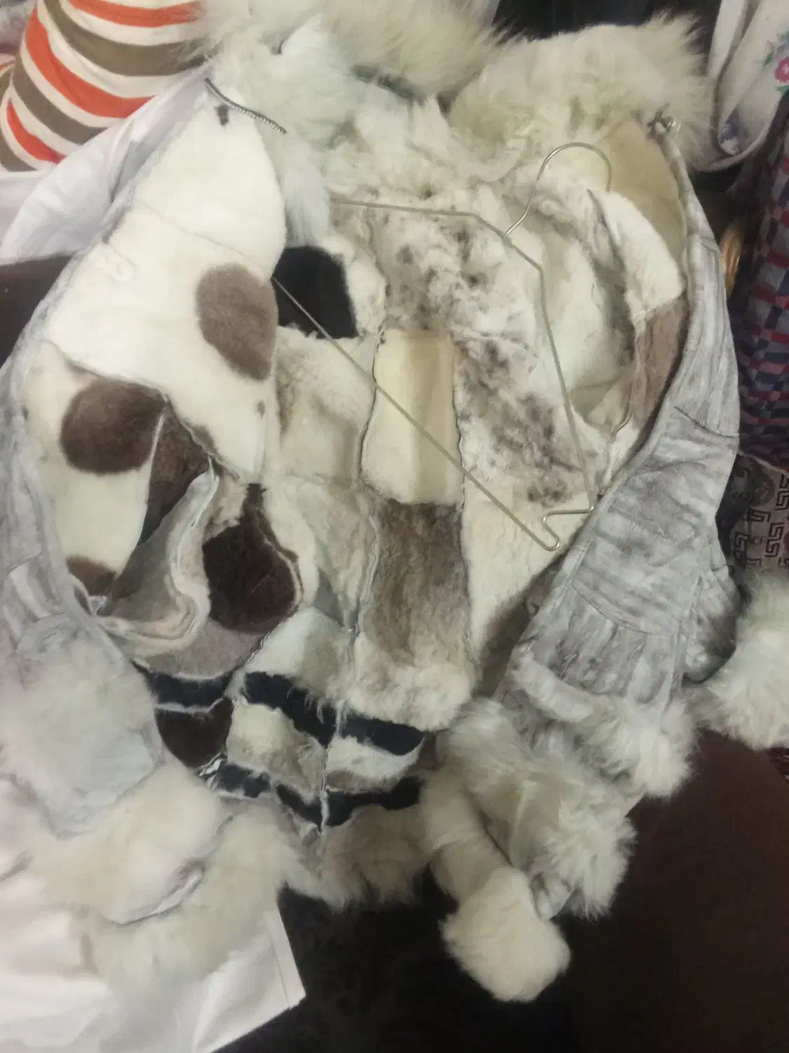 پالتو خارجی|لباس|گرگان, |دیوار