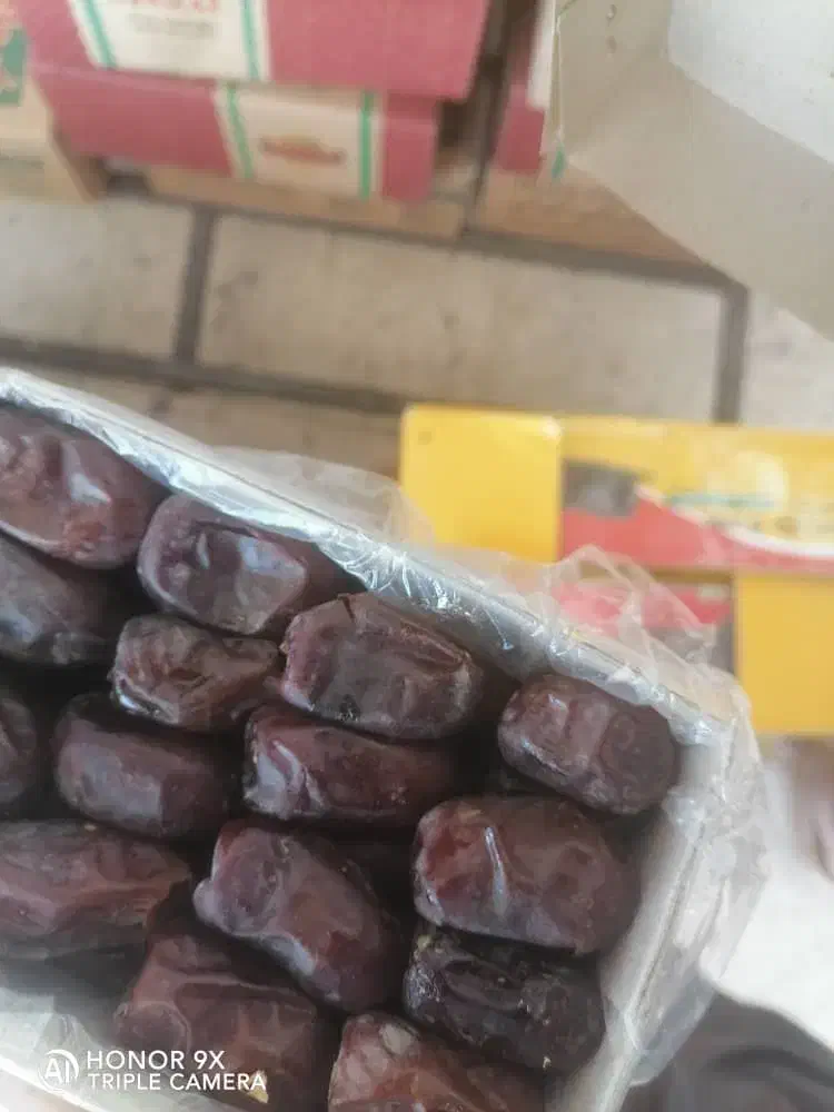 خرمای مضافتی|خوردنی و آشامیدنی|بم, |دیوار